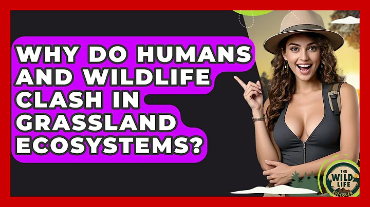 Why Do Humans And Wildlife Clash In Grassland Ecosystems? - The Wild Life Explorer