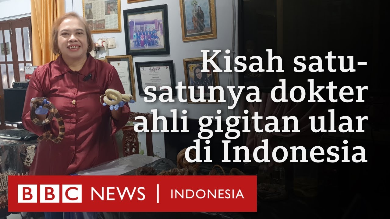 Kisah Tri Maharani, satu-satunya dokter ahli gigitan ular berbisa di Indonesia - BBC News Indonesia