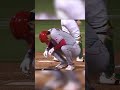 Shohei Ohtani, the Comedian. Gets hit by a pitch…then 