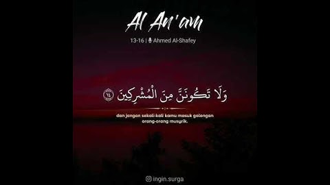 Thumbnail of Ahmed al Shafey