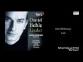 Edvard Grieg - Ein Traum - Behle/Schnyder