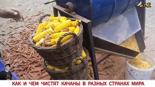 видео: УНИКАЛЬНЫЕ ПРИСПОСОБЛЕНИЕ ДЛЯ ЧИСТКИ КУКУРУЗЫ З РАЗНЫХ СТРАН МИРА #1-2/ HOW AND WHAT IS CORN CLEANED картинка: УНИКАЛЬНЫЕ ПРИСПОСОБЛЕНИЕ ДЛЯ ЧИСТКИ КУКУРУЗЫ З РАЗНЫХ СТРАН МИРА #1-2/ HOW AND WHAT IS CORN CLEANED