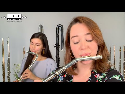 Healthy Flute Playing by Flute Specialists, Inc.