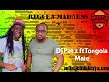 Dj Patiz Reggea Madness 2