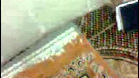 الشيخ موسى الهلالى سورة البروج