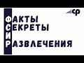 Развлекательная передача #1 // Факультет сервиса и рекламы ИГУ