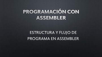 ESTRUCTURA Y FLUJO DE PROGRAMA