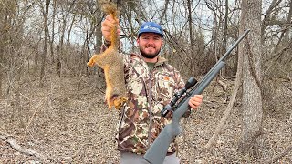 Tree Rat For Lunch Catch Clean Cook