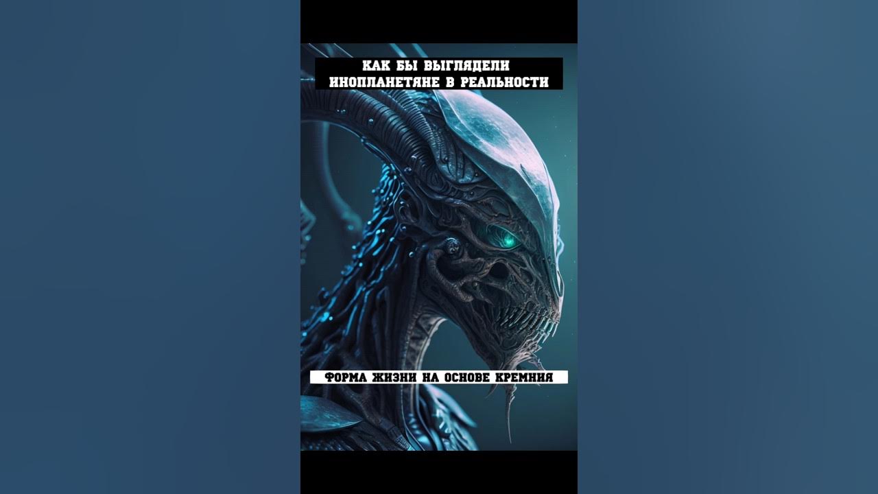 Джоджо карс совершенная форма. Совершенная форма жизни это. Углеродная форма жизни и кремниевая. Совершенная форма жизни это. Высшая форма жизни джоджо.