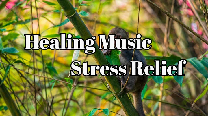 Healing Music Absolute Stress Relief, Stop Anxiety 🌍 Deep Sleep And Relax With Sounds Of The Ocean