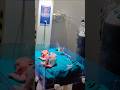 New born baby#viral#explore#youtube#cutebaby#hospital#trending video#short video#motivation#couple#