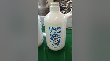 Automatic Two Color Bottles Screen Printing Machine