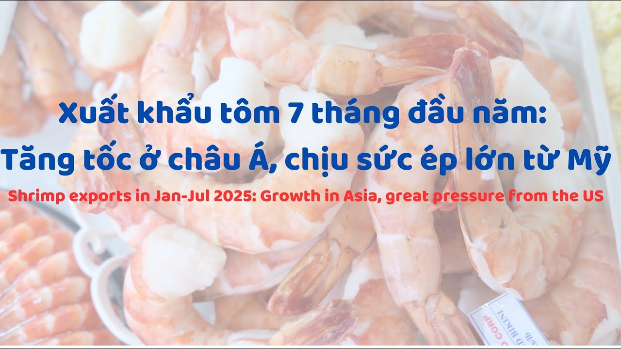Vuabet88 xn - Khám Phá Thế Giới Cá Cược Đỉnh Cao