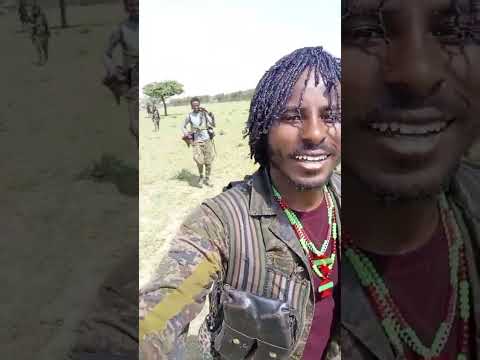 Wbo Oromia Oromo Finfinnee Afaan Oromoo Jaalmarroo Oro Wbo Ola Oduu Afaan Oromoo 