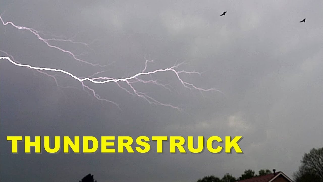 UNBELIEVABLE THAT PIGEONS ARRIVE IN THUNDERS AND RAIN!!