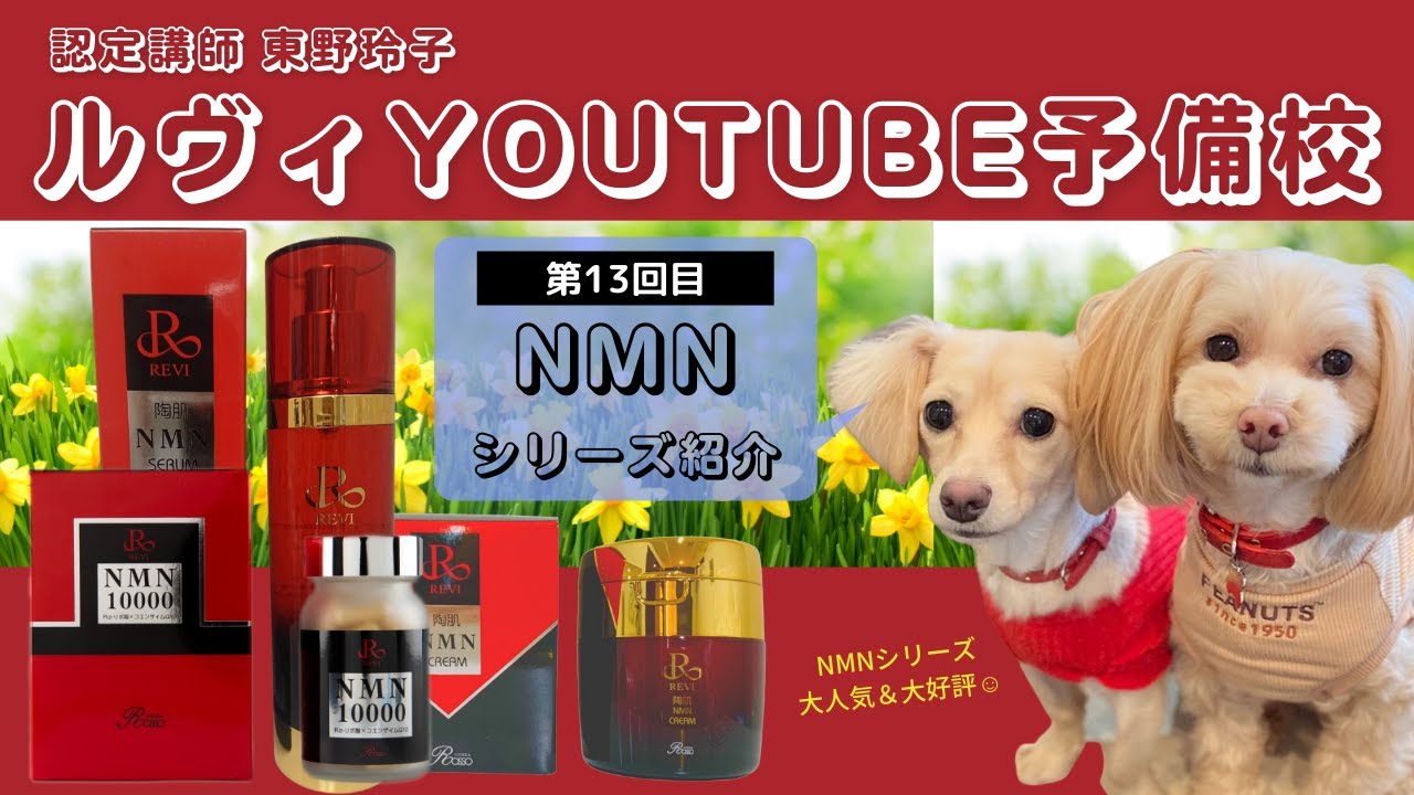 REVI 新業務用商品 NMNナノフェザーパウダー No.63】REVI(ルヴィ