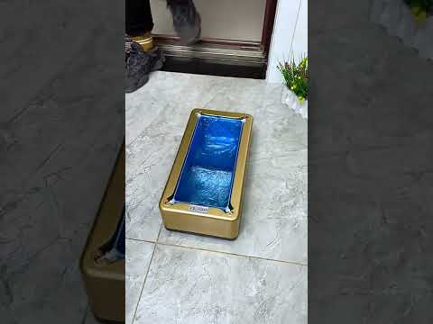Top video ngắn,