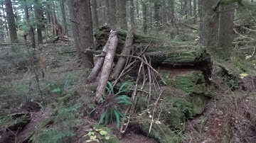 SASQUATCH STRUCTURE: OFF THE BEATEN PATH.