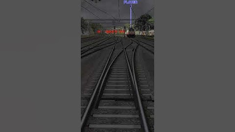 Automatic Track Change #shorts #short #viral #shortvideo #viralvideo #indianrailway #trainsimulator