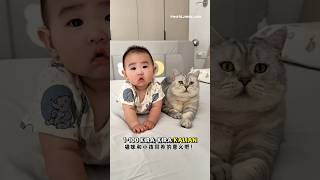 Babu mengerjakan pekerjaan rumah🏠Milo menjaga dede bayi😻😺 #kucing #kucingmilo