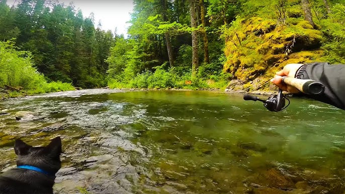 TOP 3 Trout Fishing Tactics For Creeks & Rivers (IN DEPTH HOW TO