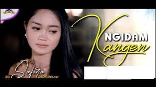 Safira Inema - Ngidam Kangen Lirik Video
