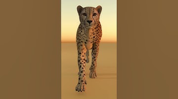 Cheetah 3D Model Walk and Run Cycle | PROmax3D