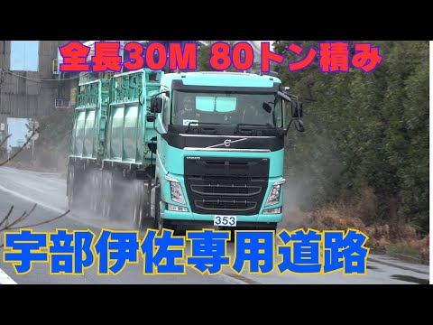 こうさん　専用ページ 特殊踏切】宇部伊佐専用道路3 (旧・宇部興産専用道路) 全長30m