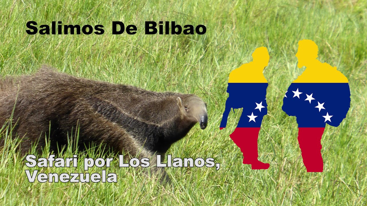 🐬🎣 Delfines y pirañas en el Safari Venezolano, Hato el Cedral, Venezuela