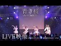 【PiXMiX】「青き桜」LIVE映像 @10/22 5周年ワンマンライブ
