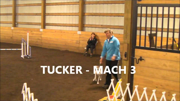 KELLY MAIER AND TUCKER  --  MACH 3