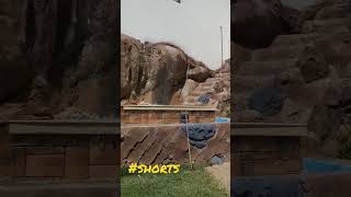 Air Terjun shorts  viral