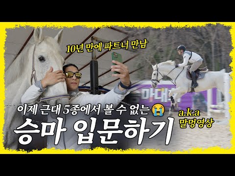 고급지다~ 폼 난다~🤩 힐링은 덤.. 승마, 취미로 정말 괜찮은데요? (말멍하고 가세요)