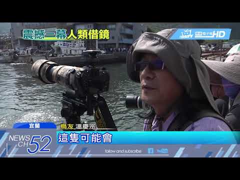 20180701中天新聞　減塑「刻不容緩」　保育類鳳頭燕鷗嘴卡吸管阻進食