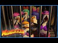 Then penguins get dressed | DreamWorks Madagascar