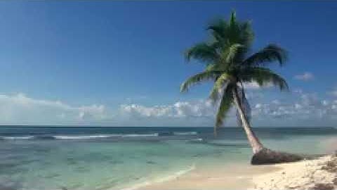 Relaxing 3 Hour Video of A Tropical Beach with Blue Sky White Sand and Palm Tree qREKP9o