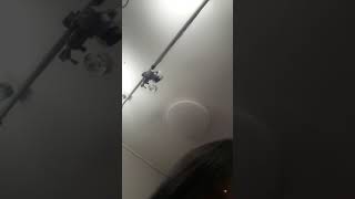 Bj 신나린 개레전드