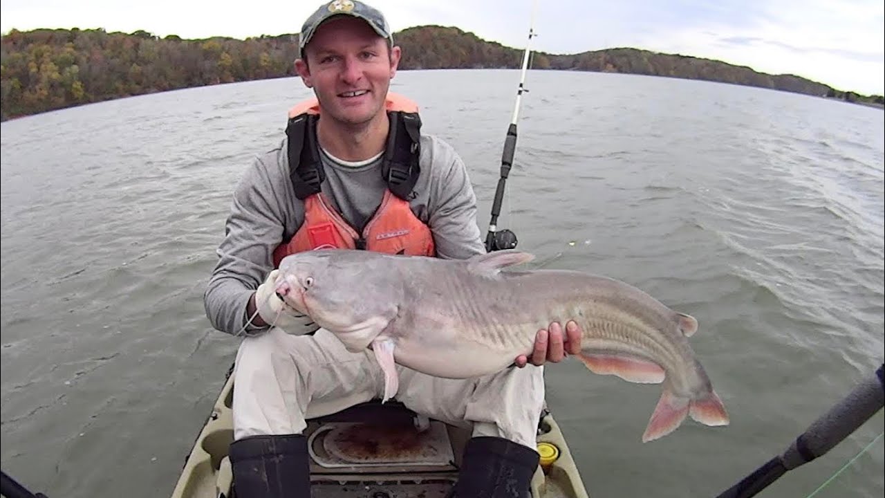 Dragging For Catfish On The Tennessee River - YouTube