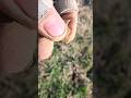 very unique find