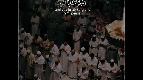 قرآن الكريم بصوت سعد الغامدي اجمل حالات واتس اب دينية سورة الأحزاب