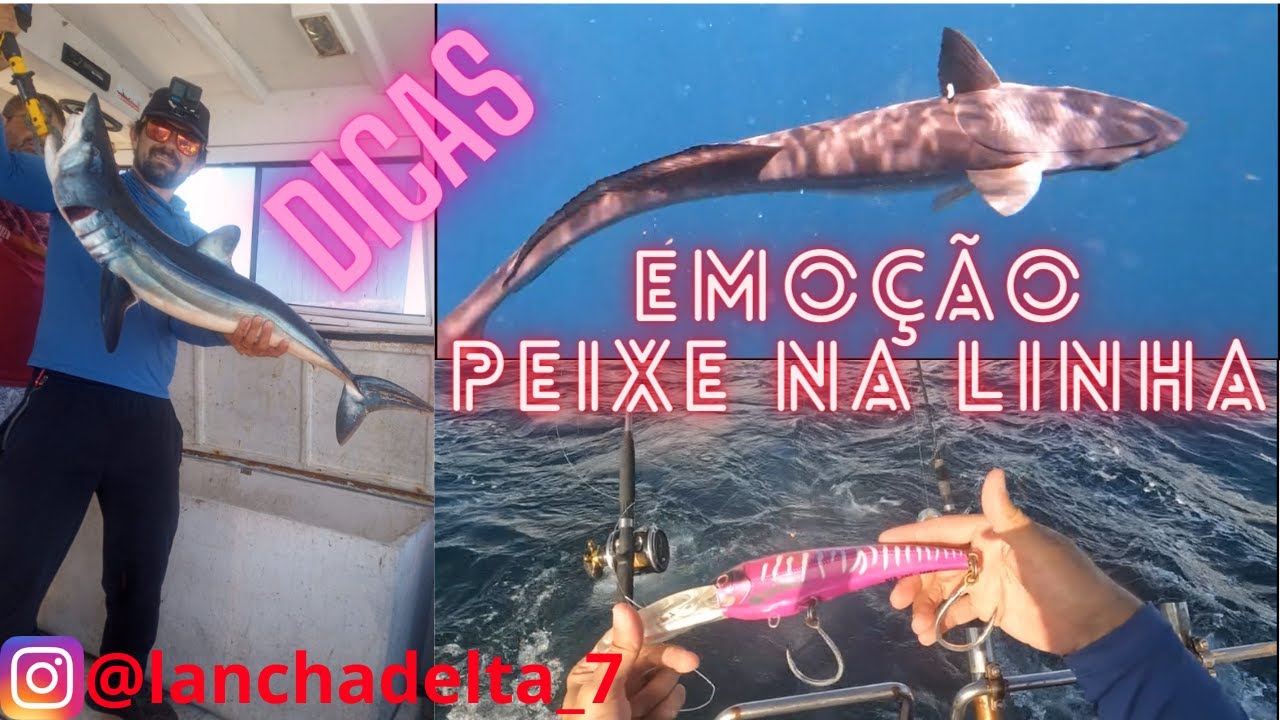 Pesca oceânica anequim, cação e muito mais