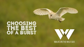 Choosing the perfect shot from a burst of photos