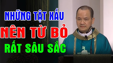 NHỮNG TẬT XẤU NÊN TỪ BỎ - Bài Giảng Sâu Sắc Của Lm Phạm Tĩnh | Ánh Sáng Lời Chúa