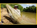 20 Monstruos Gigantes del Río Capturados por la Cámara