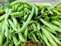 #ԿԱՆԱՉ ԼՈԲԻ։ԻՆՉՊԵՍ ՊԱՀԵԼ ԿԱՆԱՉ  ԼՈԲԻՆ  ։Как замораживать зеленую фасоль.Like freezing green beans.