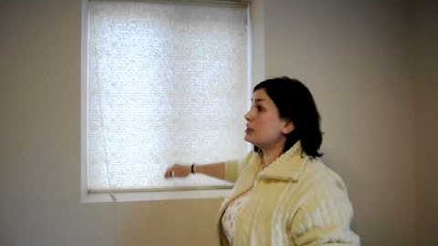 How to operate a Standard or Duofold Symphony Shade