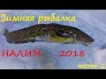 Зимняя рыбалка / НАЛИМ  / часть 2 / Winter fishing / BURBOT / part 2