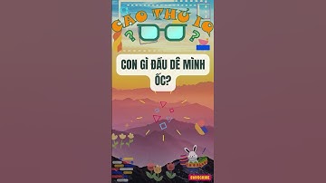 Câu Đố Vui Nhộn: Thử Thách Tư Duy Logic Của Bạn p51 | Cao Thủ IQ #caudovui  #dovui  #quiz #giaitri