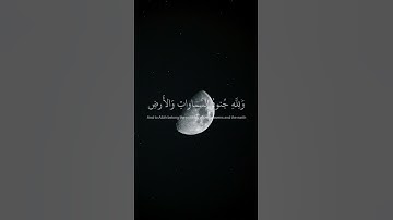 القارئ عبدالرحمن مسعد لا إله إلا الله محمد رسول الله صلى الله عليه وسلم 🌹♥