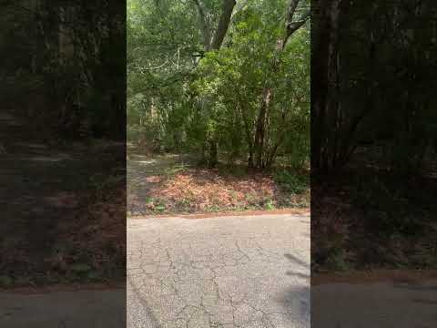 30173 Nina Dr., Lacombe, LA home video tour
